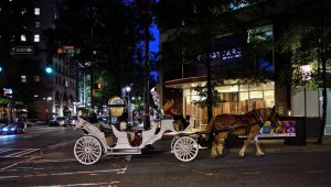 Carriage Ride in Charlotte, NC