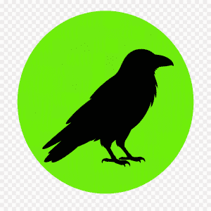 Silhouette of a Raven Standing on a Bright Lime green Circle icon style Image